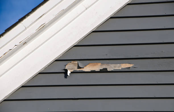 Lake Camelot, WI Siding Installation & Repair Company